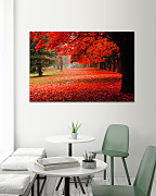 Obraz Čaro jesene 1588